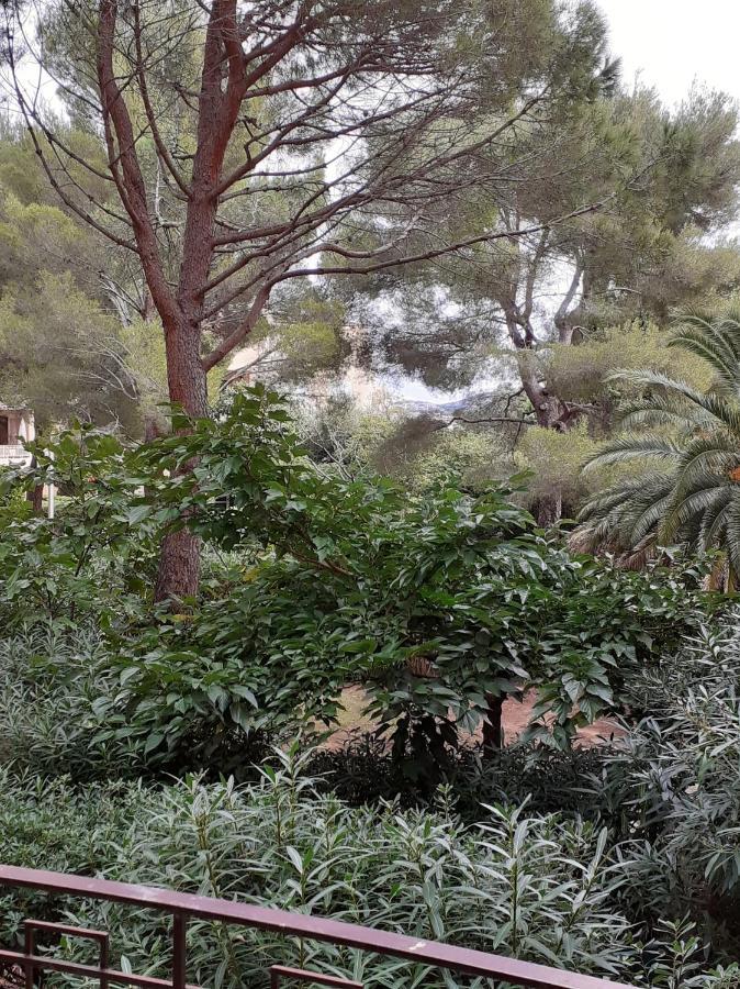 Residence Porto Di Mar Cavalaire エクステリア 写真